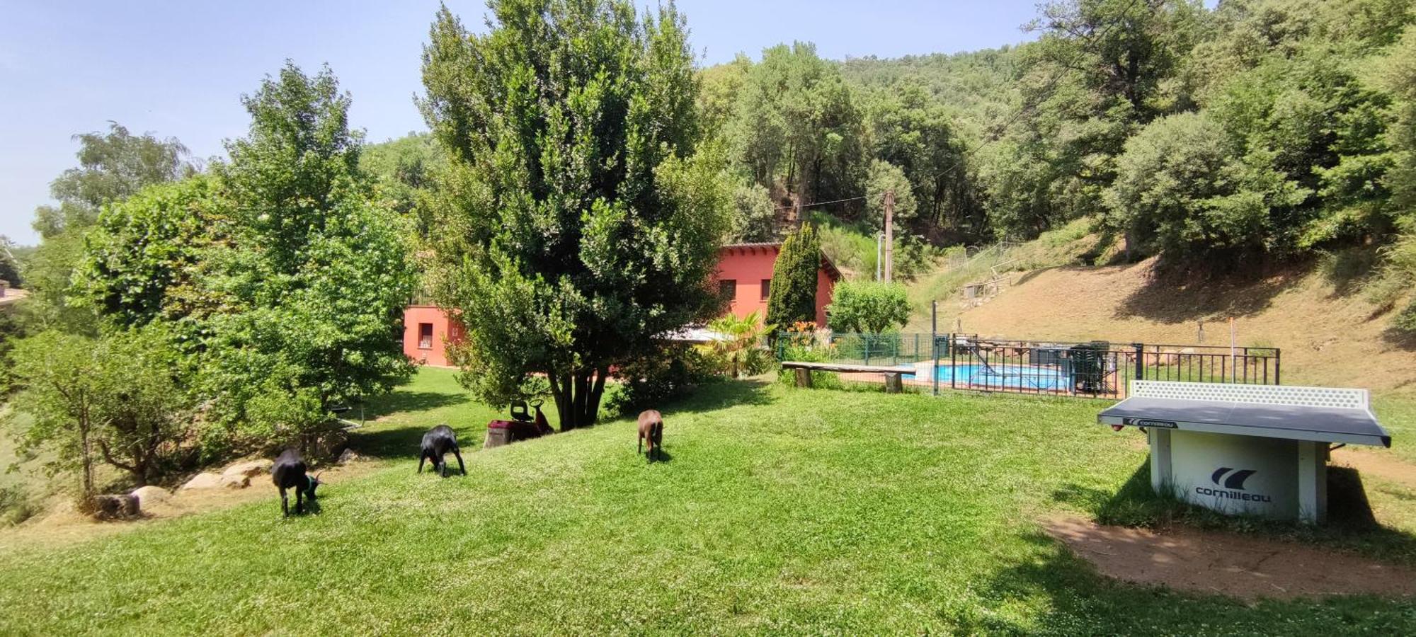 Ca La Montse Villa Viladrau Buitenkant foto